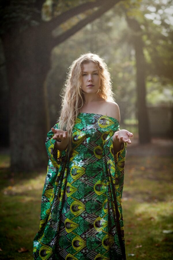 Alchemist of the Sun - Citrinitas